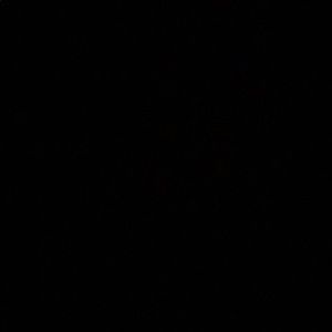 Meet your Posher, Alexander